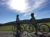 Moving for Climate NOW: El papel del sector privado