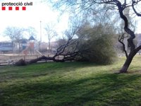Barcelona cierra todos los parques y jardines por el vendaval
