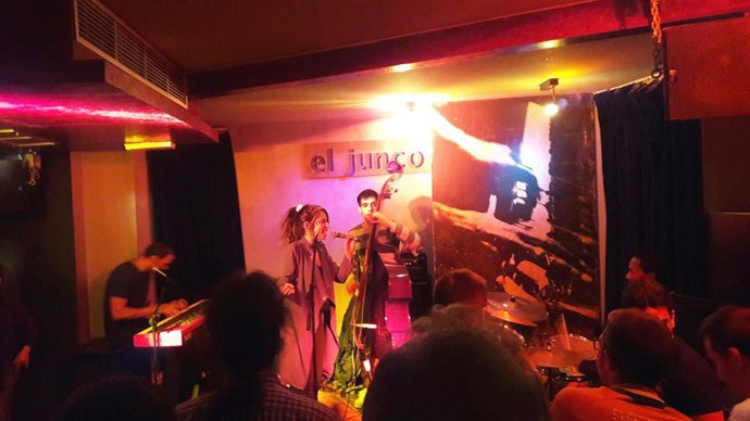 Sala de conciertos, El Junco