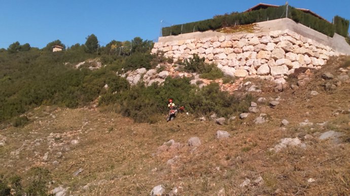 Divalterra actúa en la zona de interfaz urbano-forestal de Siete Aguas