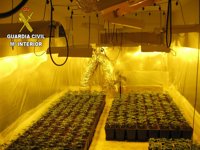 La Guardia Civil detiene a tres personas en El Casar por cultivar marihuana