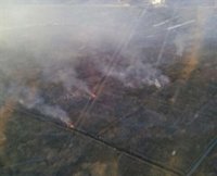 Moragues apunta a una quema de cañas como hipótesis del incendio en el marjal de Gandia