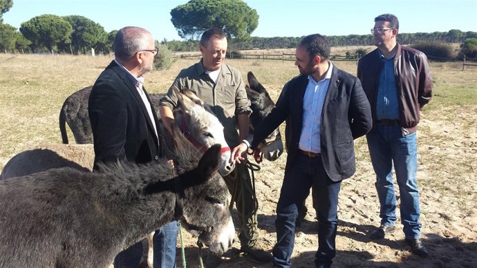 Entrega de los asnos bomberos a la Asociación Burrito Féliz