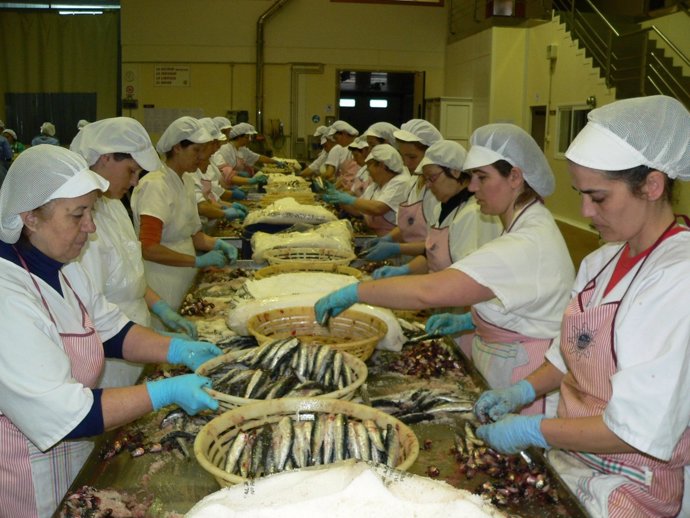 Trabajadoras Fábrica De Anchoa