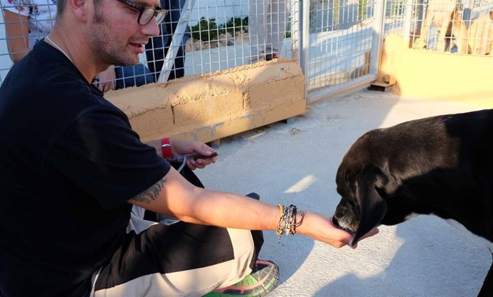 Programa mejora calidad de vida de personas sin hogar y animales maltratados