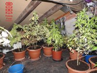 Detenido en Malerreka por conducir sin puntos y traficar con drogas