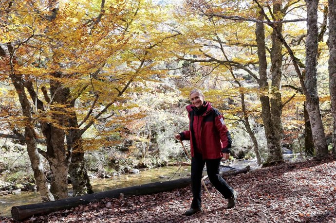 Cifuentes en el Hayedo de Montejo