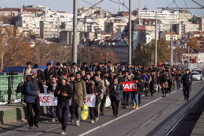 Un grupo de inmigrantes atrapados en Serbia camina hacia la frontera con Croacia