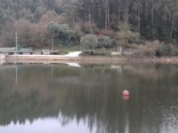 Los embalses que abastecen a Bizkaia están al 54,8% de su capacidad, un 2% más que hace un año