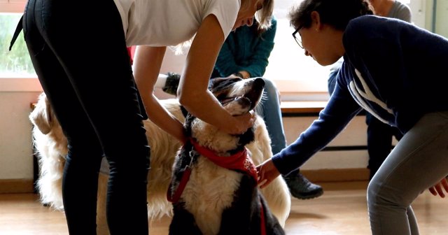Np L'associacio Alba Busca Finançament Per Potenciar La Teràpia Amb Gossos