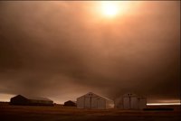 El medio ambiente, la otra víctima de la guerra