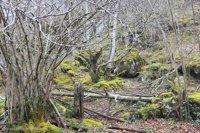 Una imagen del desfiladero de Los Arrudos gana el concurso de fotografía de Turismo de Asturias en Instagram