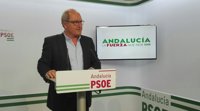 PSOE-A felicita a Teresa Rodríguez y le pide que deje de ser "comparsa del PP"