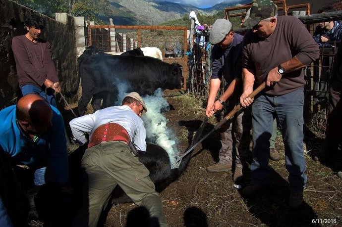 Foto ganadora en el concurso de Diputación de Cáceres