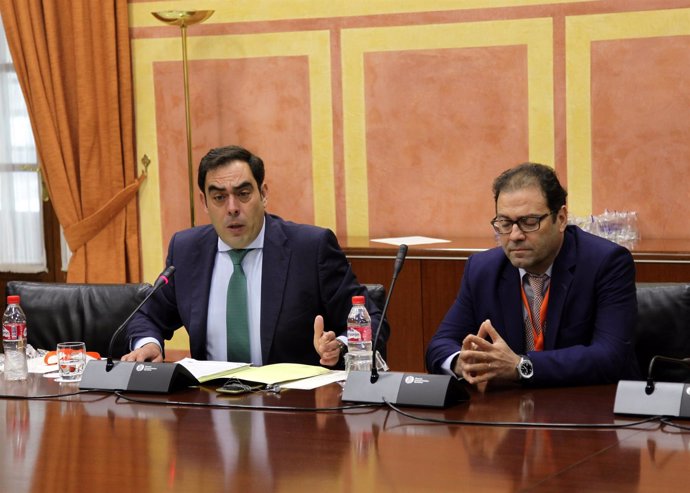 El presidente de ATA-A ,Rafael Amor, en comisión en el Parlamento andaluz
