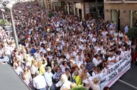 Nueva manifestación el día 27 contra la fusión hospitalaria en Granada