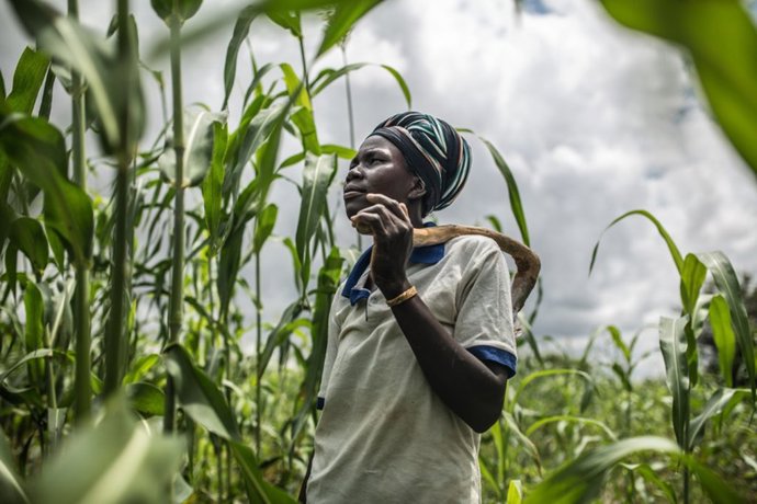 Fati Marmoussa en su campo de sorgo. En Burkina Faso 