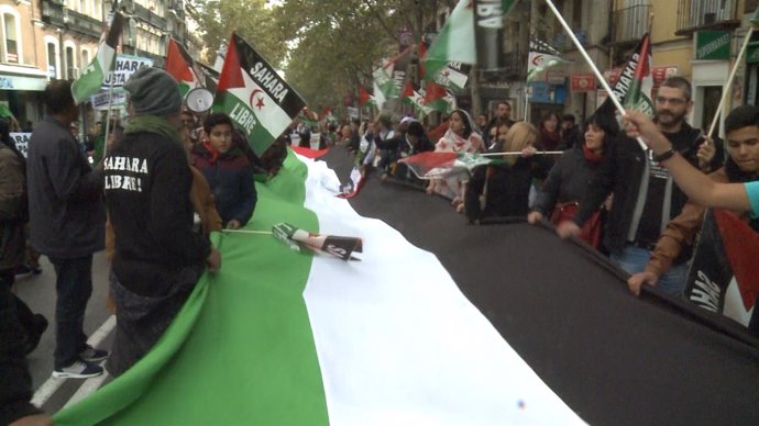Miles de personas marchan por un 'Sahara Libre'
