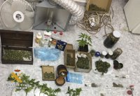 Detenido un joven de 33 años por cultivar marihuana en su domicilio de Matute (La Rioja)