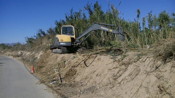Imagen de los trabajos para recuperar el bosque de ribera