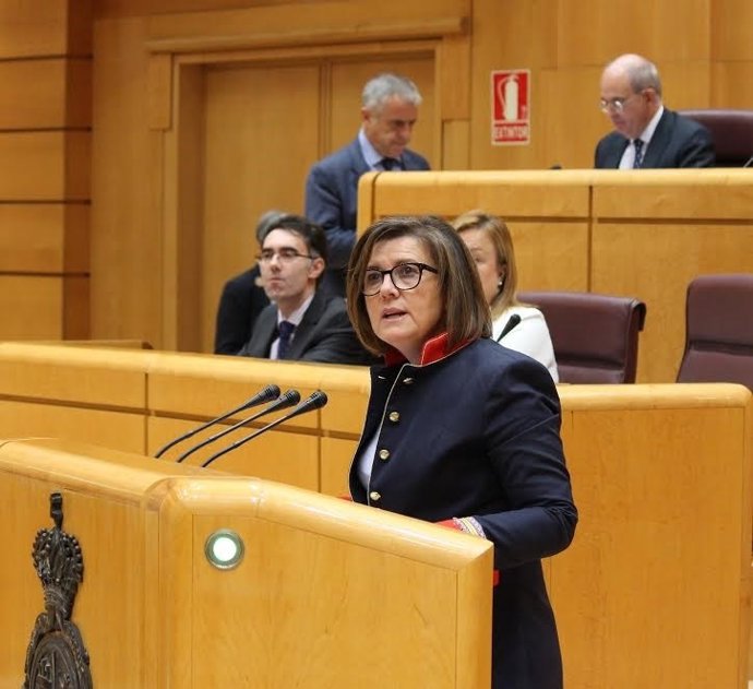 Mar Angulo, durante una interención en el Senado. 