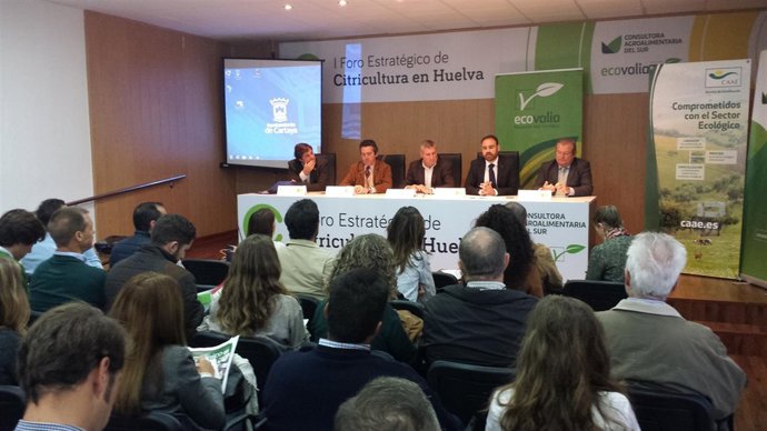 1 Nota Y 3 Fotos JUNTA (Foro Citicultura)