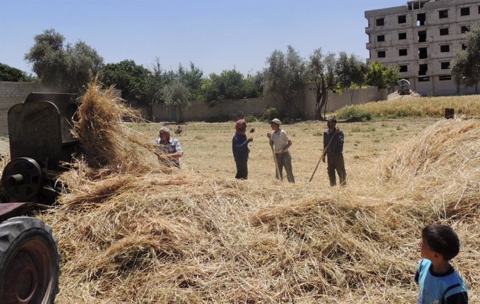 Agricultores en un suburbio de Damasco