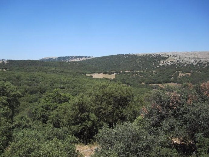 Parque Natural Sierras Subbéticas