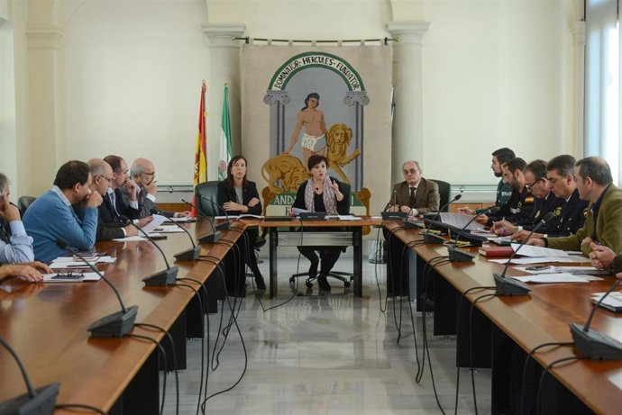 Comité Director del Plan de Emergencias por Riesgos de Inundaciones y Nevadas