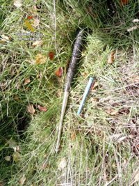 La Guardia Civil detiene a un vecino de La Robla (León) por herir gravemente a otro con una defensa metálica