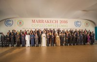 WWF elogia la "solidaridad" de los líderes en cambio climático y pide más ambición