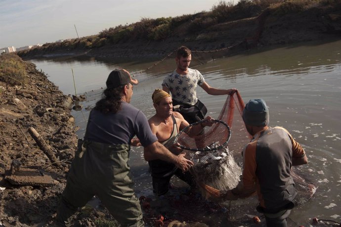 Fotografía premiada sobre 'La sal pesquera de la Bahía de Cádiz'