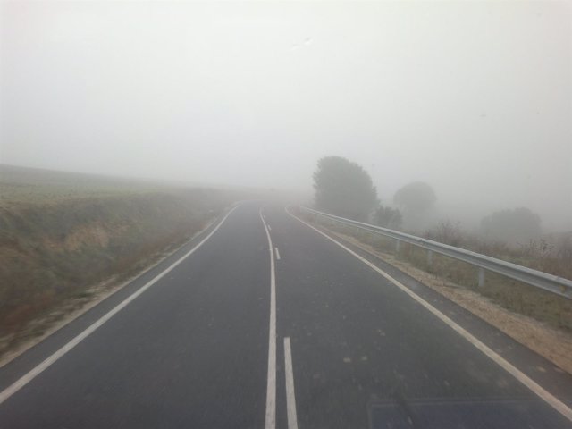 Niebla en la carretera.