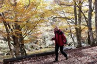 Cifuentes dice que los madrileños están pagando la salud y la educación de los andaluces