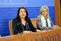 PP-A, a Rivera: "¿Por qué lo que sirve en el resto de España no sirve en Andalucía?"