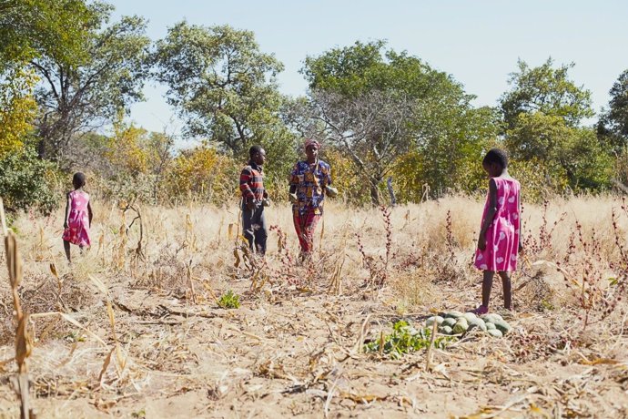 Efectos de la sequía en Zimbabue por 'El Niño'