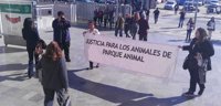 Peritos exponen en juicio de Parque Animal los distintos efectos del producto eutanásico
