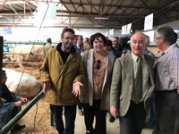 La Junta afirma que la expansión de la tuberculosis bovina en Extremadura se ha "frenado"