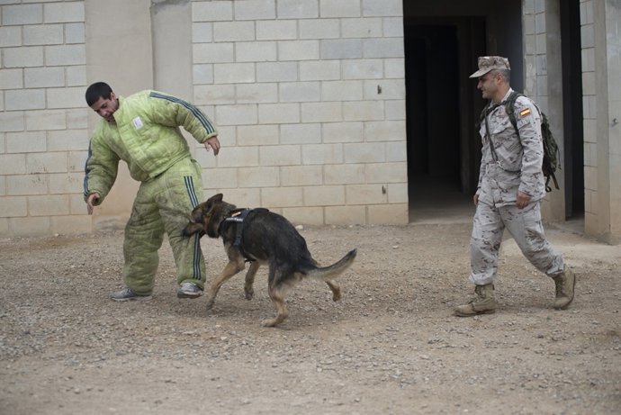 NOTA DE PRENSA. EJERCICIO DE UNIDADES CINOLÓGICAS DE INFANTERÍA DE MARINA.