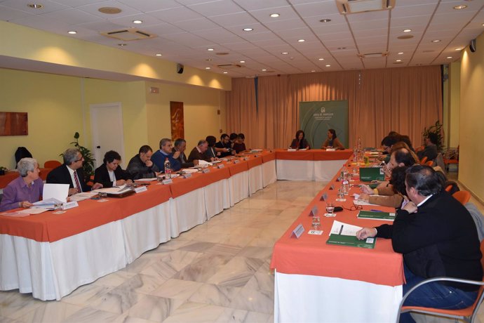 Reunión del Consejo Andaluz del Voluntariado