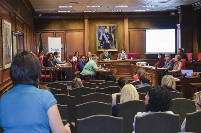 El Consejo Provincial de las Familias celebra pleno permanente en Diputación.