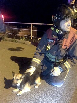 Bomberos De Tenerife Intervienen En El Rescate De Cuatro Senderistas En El Teide