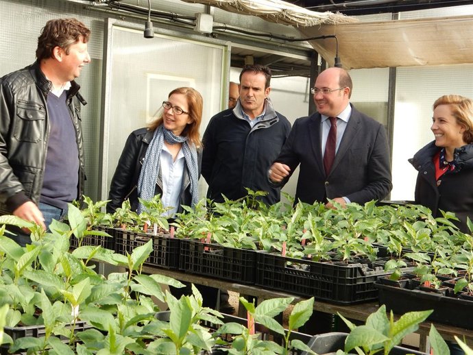 El presidente de la Comunidad en el IMIDA, donde se ha celebrado el Consejo