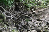 Santiago pide "compromisos presupuestarios" a Xunta y Estado para la nueva depuradora