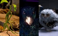 Así son las 9 criaturas más geniales de Animales fantásticos y dónde encontrarlos