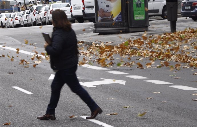 Recursos de viento, temporal, hojas, otoño