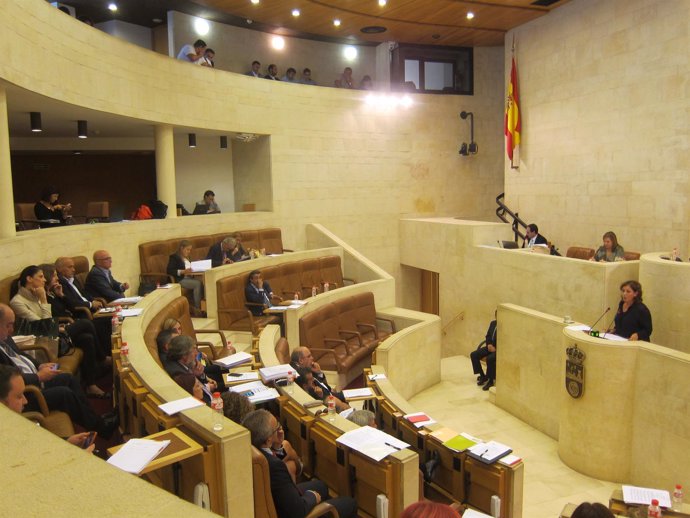 Pleno del Parlamento  