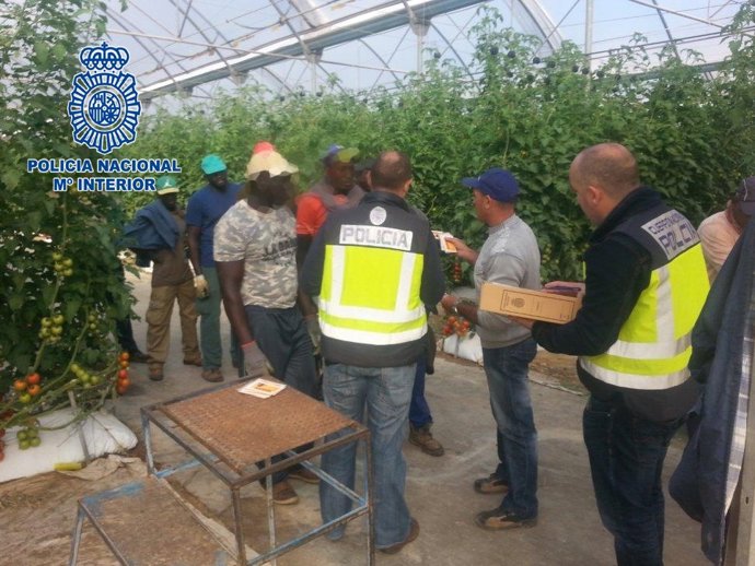 "La Policía Nacional Lucha Contra La Explotación Laboral En Lorca En El Sector A
