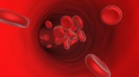 Uno de cada cuatro pacientes desconoce qué es la trombosis