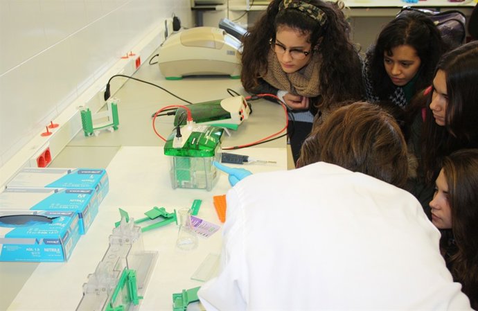 Fundación Descubre. NP Finaliza La XVI Semana De La Ciencia En Andalucía Con 437